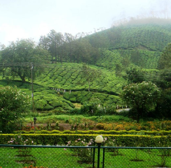 munnar-1